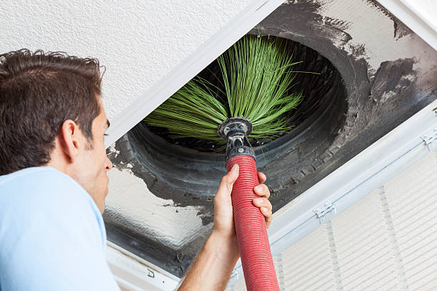 Best Home Air Vent Cleaning  in Bean Station, TN